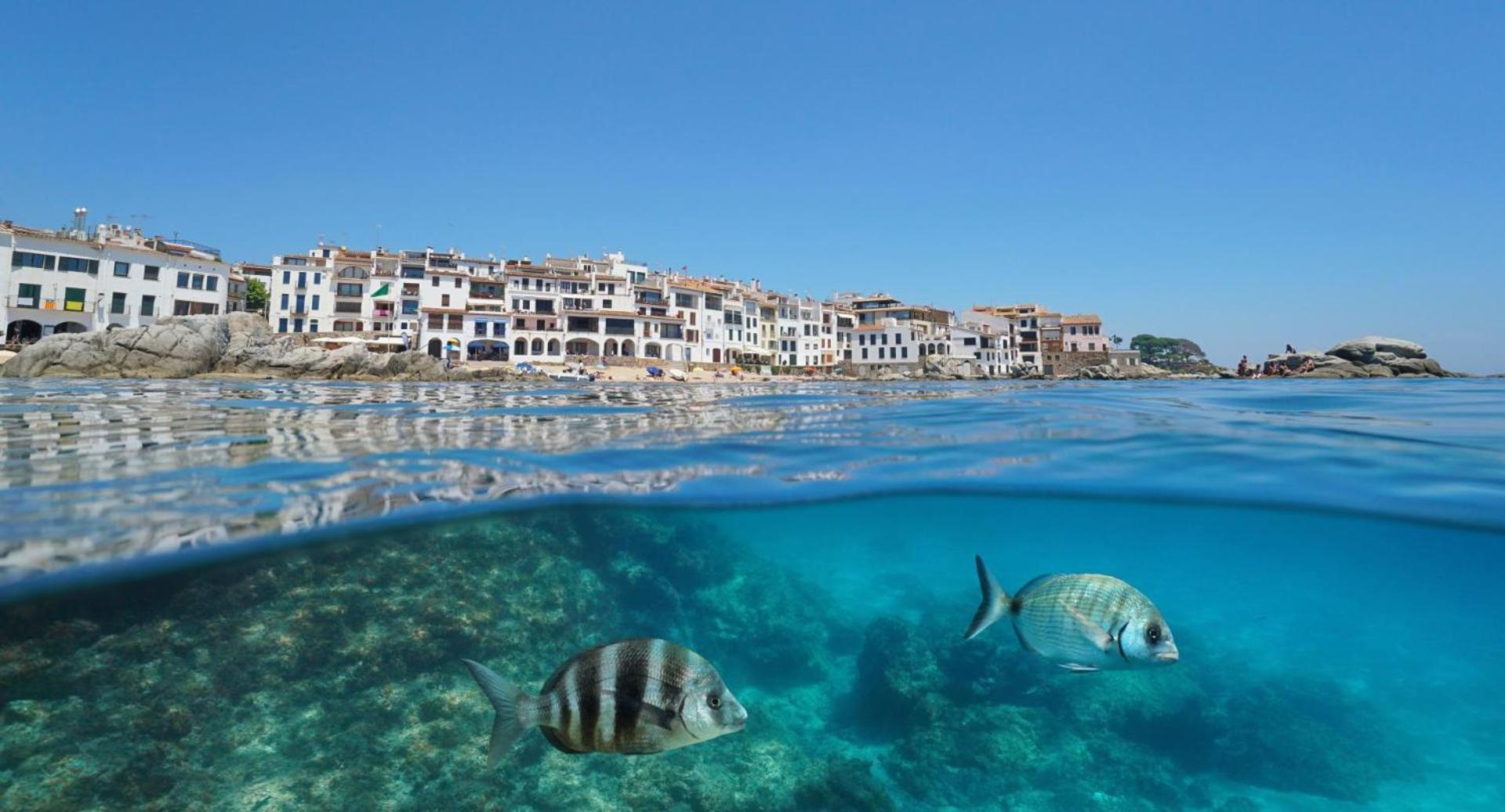 Apartamento Recien Reformado A 300 Metros Del Mar Calella De Palafrugell Dış mekan fotoğraf
