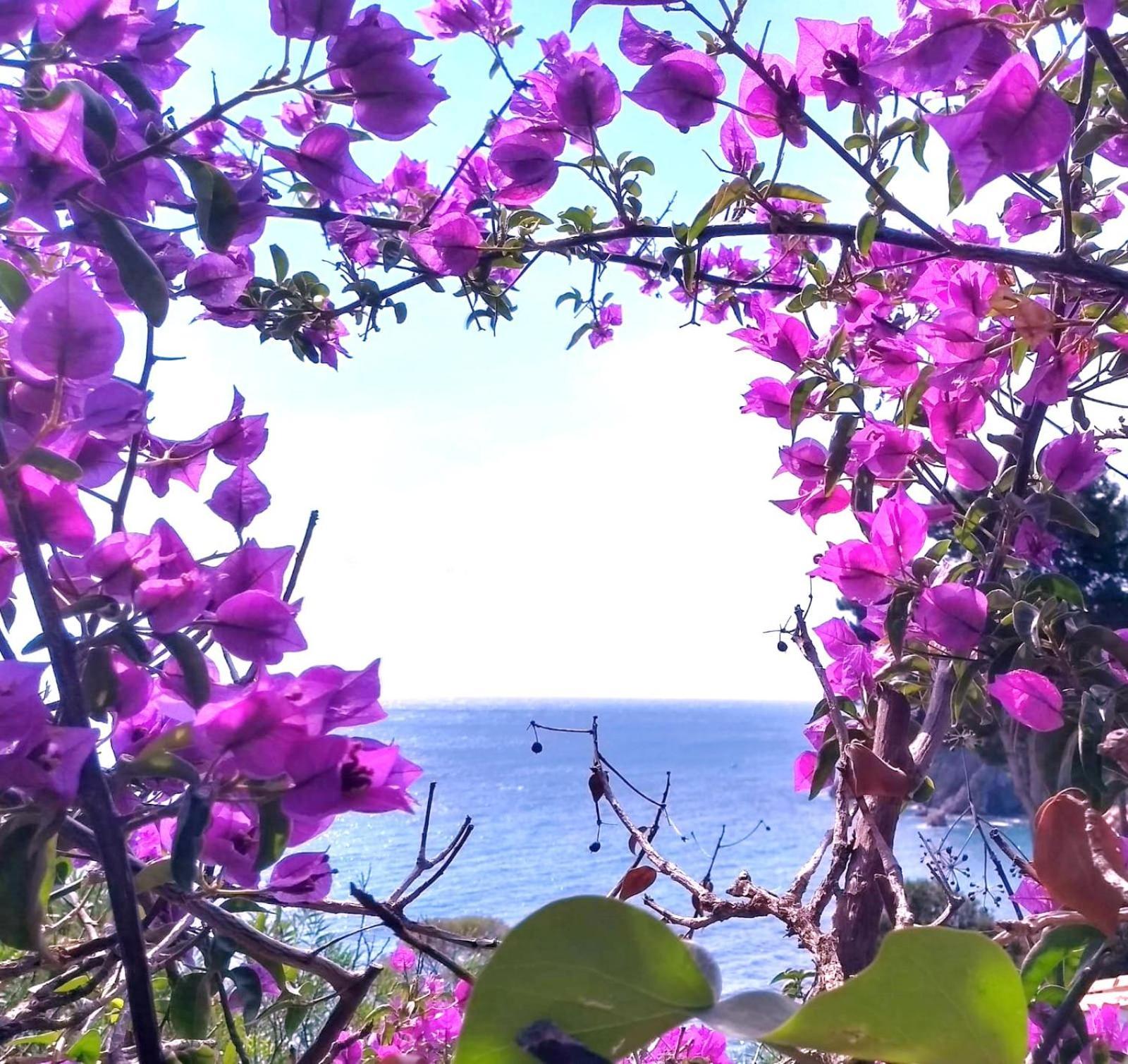 Apartamento Recien Reformado A 300 Metros Del Mar Calella De Palafrugell Dış mekan fotoğraf