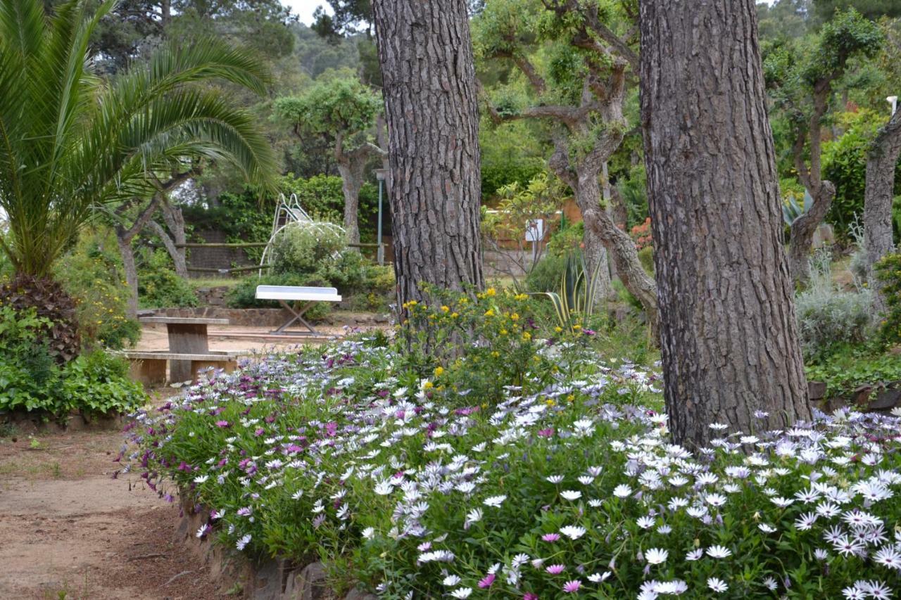 Apartamento Recien Reformado A 300 Metros Del Mar Calella De Palafrugell Dış mekan fotoğraf