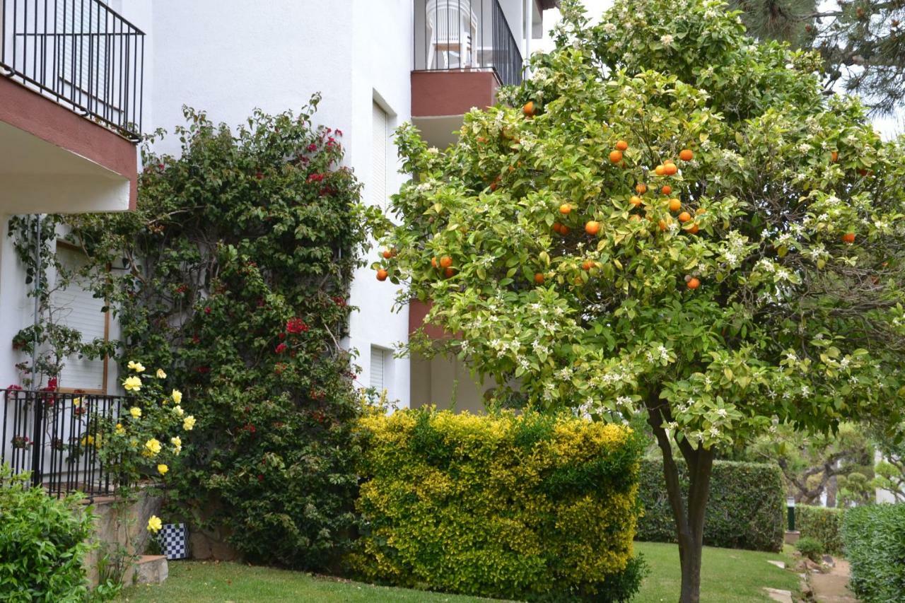 Apartamento Recien Reformado A 300 Metros Del Mar Calella De Palafrugell Dış mekan fotoğraf