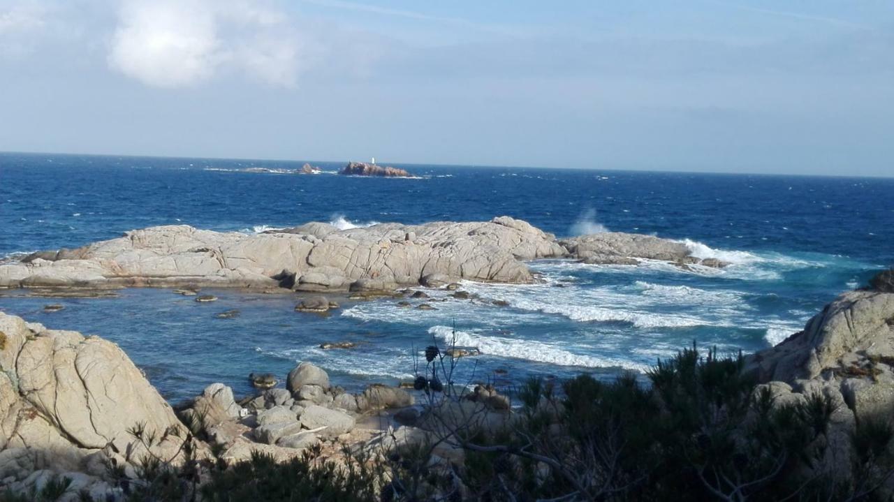 Apartamento Recien Reformado A 300 Metros Del Mar Calella De Palafrugell Dış mekan fotoğraf
